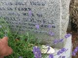 image of grave number 771767